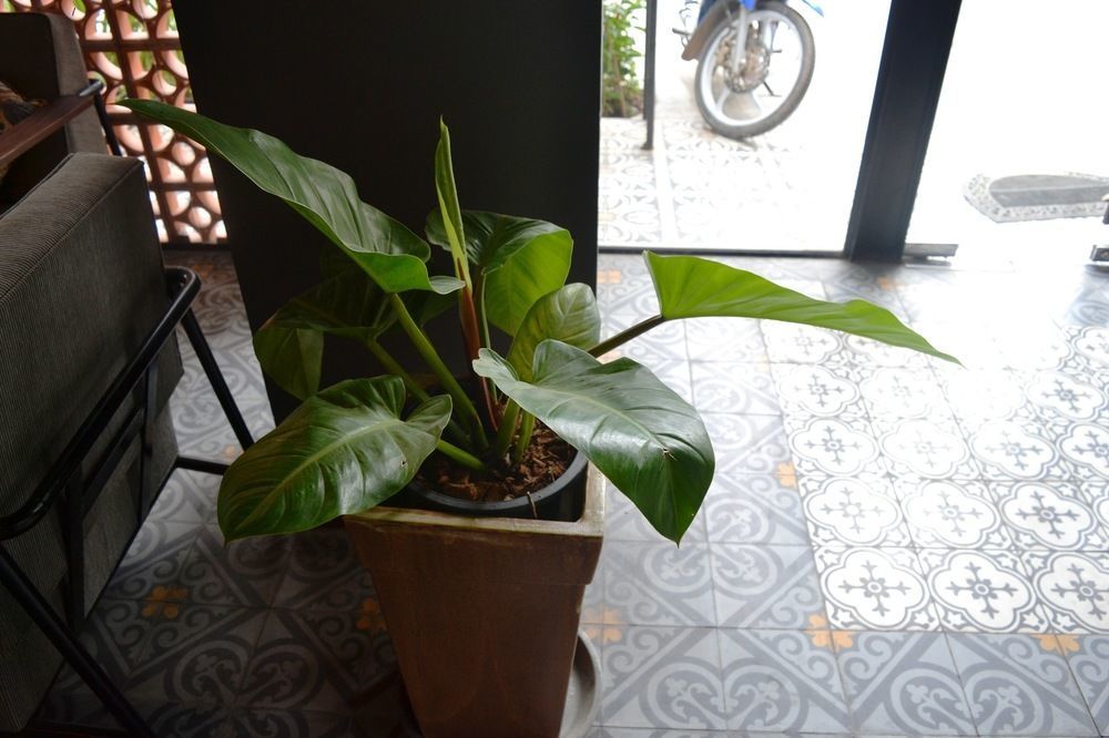 Monsoon Bassac Hotel Phnom Penh Exterior photo