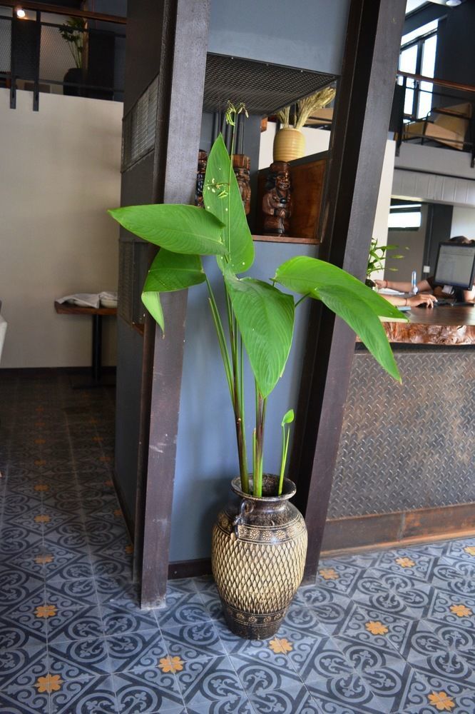 Monsoon Bassac Hotel Phnom Penh Exterior photo